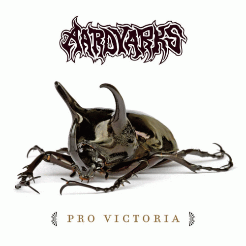 Aardvarks : Pro Victoria Aardvarks : Pro Victoria